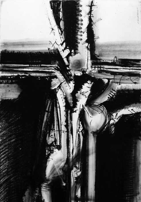 Hochhauser | "D171 Anthropogustus" | Charcoal on paper | 44 x 30 in.